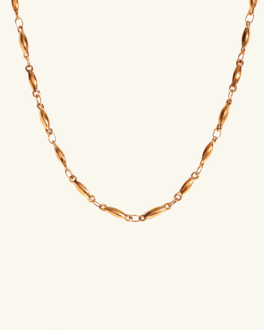 Collar Óvalo